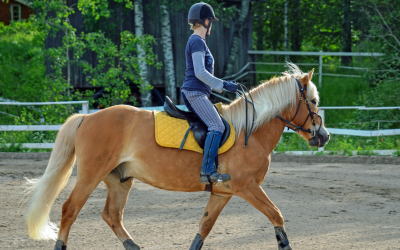 woman riding a horse