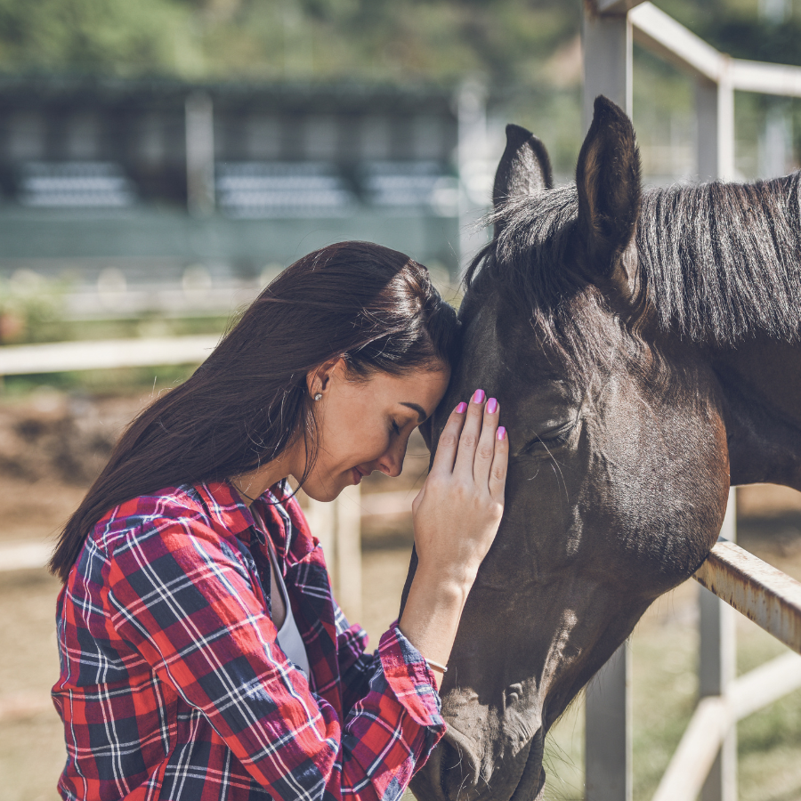 woman embracing a horse