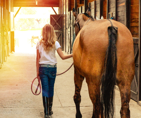 girl walking a horse